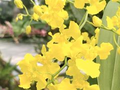 -北京植物园-展览温室