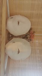 -FACE·日本小颜矫正美容整骨サロン