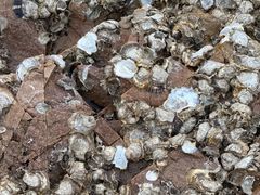 -青岛第三海水浴场