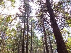 -白草畔自然风景区