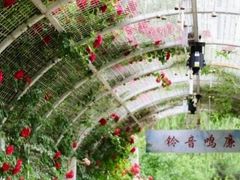 -太阳宫公园