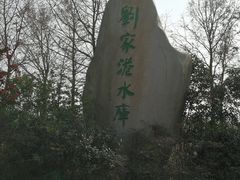 -江滩湿地公园