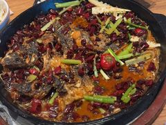 -老板恋上鱼(恒隆广场店)