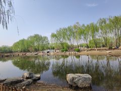 -东升八家郊野公园