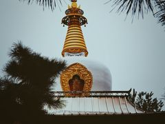 -护国法轮寺