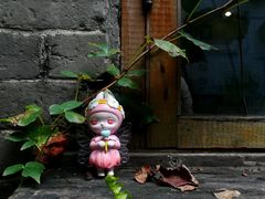 -小洲村