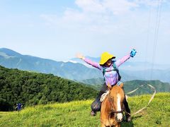 -灵山