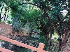 -林丰温泉度假山庄
