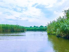 -西溪国家湿地公园