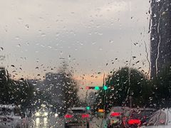 -白鹿原葡萄主题公园