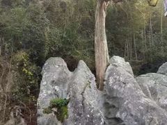 -板梁古村