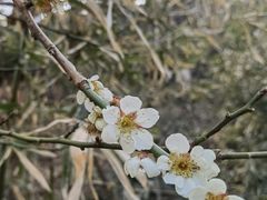-雨花胜境