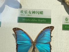 -石家庄市植物园