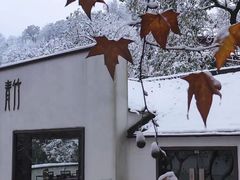 -青竺·青竹茶舍(断桥店)
