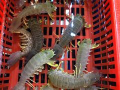 -79号渔船海鲜饭店(华强北店)