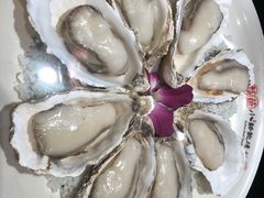 -福苗小骆驼烧烤(大唐不夜城店)