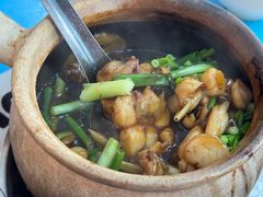 宫保田鸡-明辉田鸡粥
