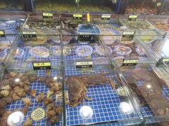 -明记海鲜大排档(巽寮湾店)