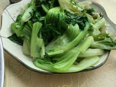 生菜-渔文乐农庄