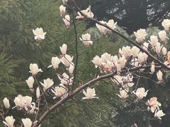 -杭州宋城