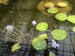 -国家植物园南园