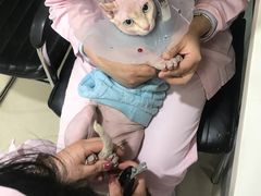 -宠颐生中康贝怡动物医院