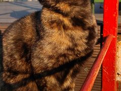 -EATALIA意塔利意式餐厅(鼓楼店)