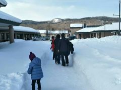 -钏路市丹顶鹤自然公园