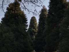 -白塘生态植物园