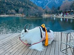 -玉龙雪山蓝月谷