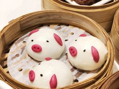 -金紫荆美食自助餐厅