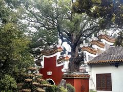 -南岳大庙