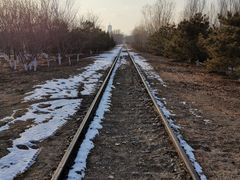 -永定河休闲森林公园