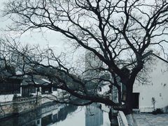 -青果巷历史文化街区