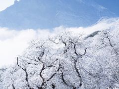 -梵净山旅游区