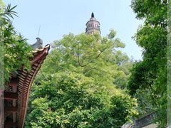 -顺峰山公园