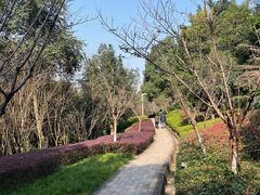 -金海湾滨江公园