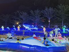 -三亚红色娘子军演艺公园景区