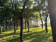 -洨河生态公园
