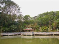 -阳台山森林公园
