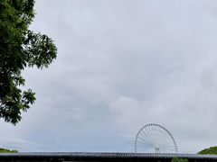 -蠡湖大桥公园