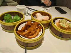 -东方早茶 海鲜•青岛菜(国信体育中心店)