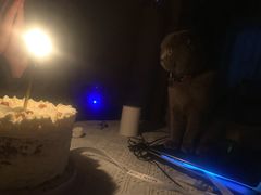 -浮光之丘MontCake生日蛋糕(科华路店)