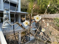 -原乡芦茨咖啡