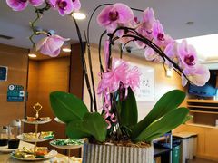 -上海美兆健康医疗体检中心(古北店)