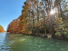 -上海海湾国家森林公园