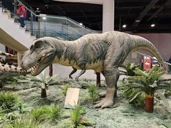 -辽宁古生物博物馆