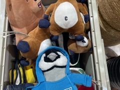 -Feiyue飞跃(长乐路店)