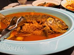 -阿五黄河大鲤鱼(英协路店)