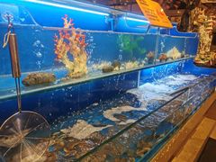 水产区-芭菲盛宴·环球美食(锦城万达广场店)